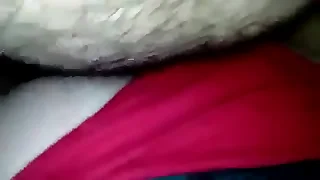 Amo meu pai peludo